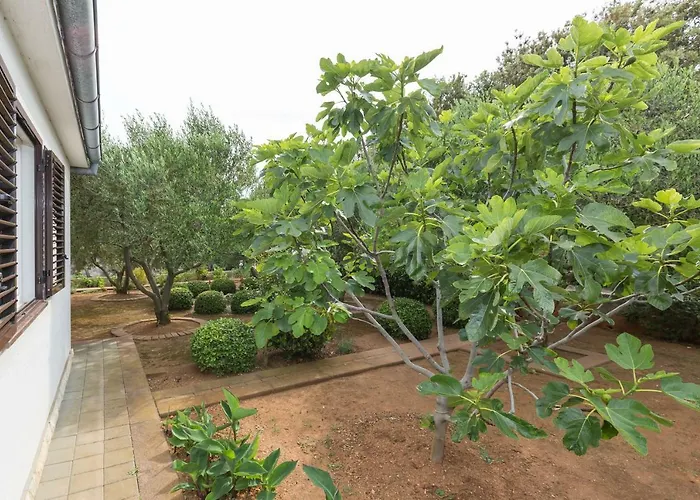 Appartement M & B Poljana (Ugljan)