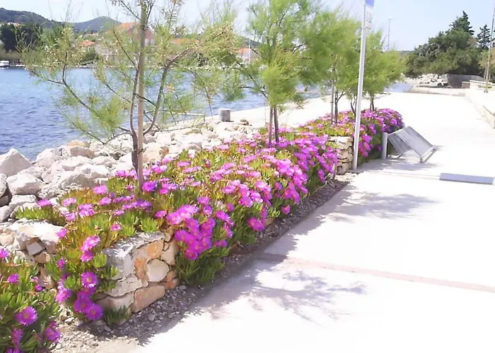 Appartement M & B Poljana (Ugljan)