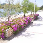Apartmán M & B Poljana (Ugljan)
