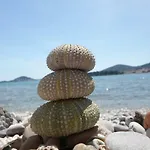 M & B * Poljana (Ugljan)