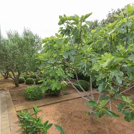 Διαμέρισμα M & B Poljana (Ugljan)