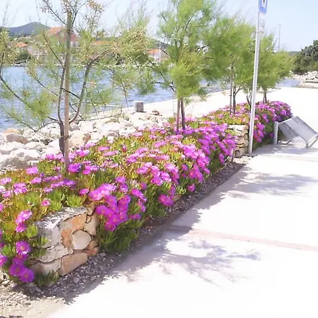 Apartamento M & B Poljana (Ugljan)
