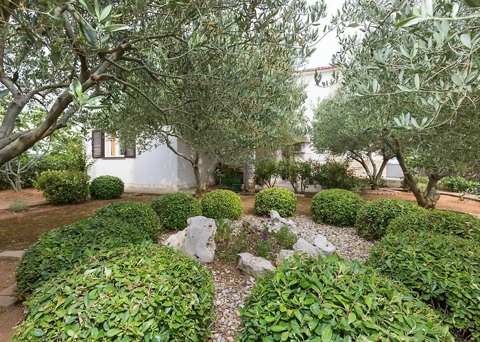 Διαμέρισμα M & B *