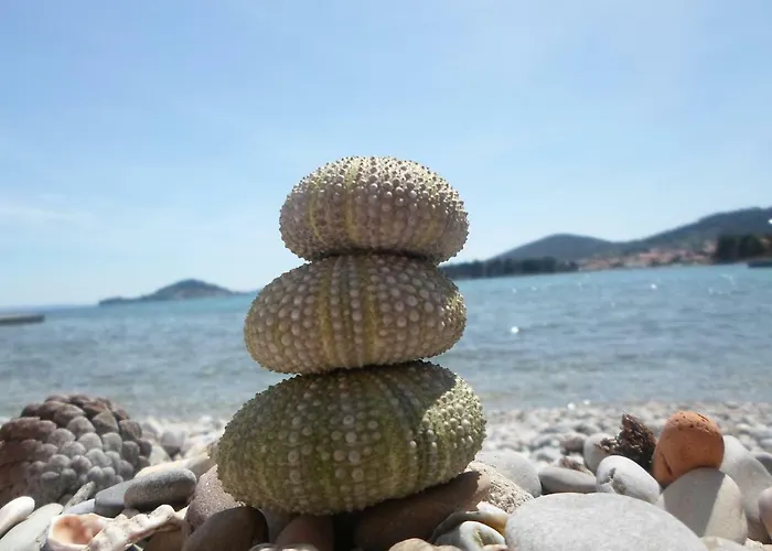 M & B * Poljana (Ugljan)